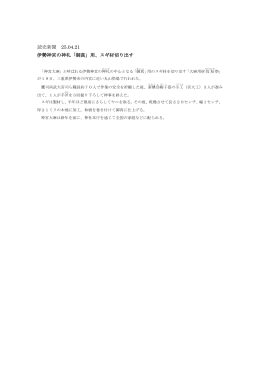 読売新聞 25.04.21 伊勢神宮の神札「御真」用、スギ材切り出す