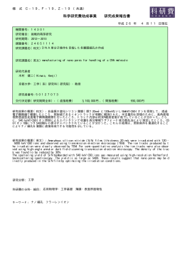 科学研究費助成事業 研究成果報告書