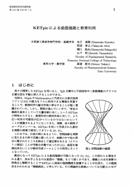 KETpic による曲面描画と教育利用 - Research Institute for