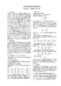 局所気象現象の数値的研究