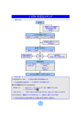 STN の主なコマンド