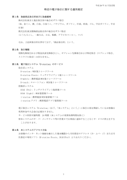 特定の電子取引に関する運用規程