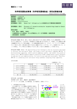研究成果報告書 - KAKEN - 科学研究費助成事業データベース