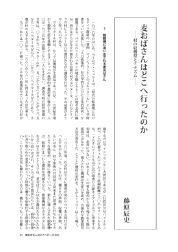 麦おばさんはどこへ行ったのか