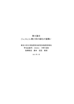 修士論文 (Ga,Mn)As微小系の磁化の振舞い - 家研究室
