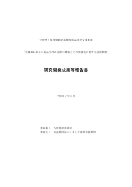 研究開発成果等報告書