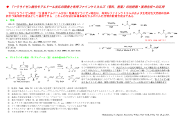 研究概要を更新しました．