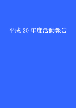 平成 20 年度活動報告 - 埼玉大学情報メディア基盤センター