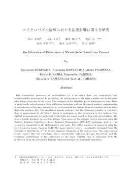 マイクロバブル溶解に対する乱流影響に関する研究