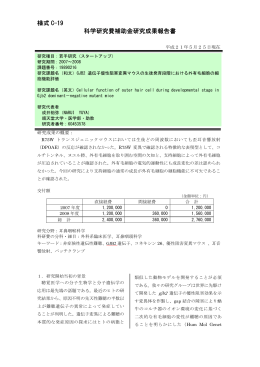 PDF - KAKEN - 科学研究費助成事業データベース