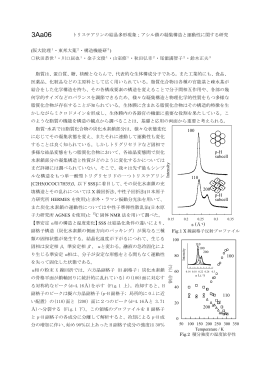 3Aa06 - 分子科学研究所