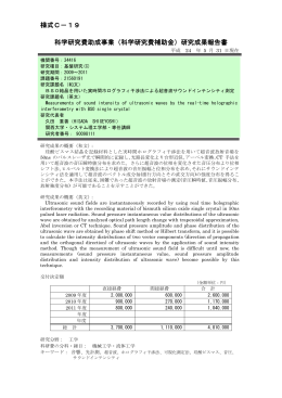 研究成果報告書 - KAKEN - 科学研究費助成事業データベース