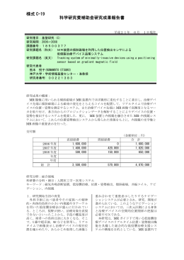 様式 C-19 科学研究費補助金研究成果報告書 - KAKEN