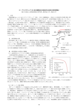 31．『ワイドギャップ CIS 系太陽電池の高効率化技術の研究開発』