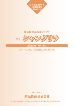 目論見書 2009/10/31