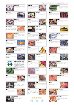 PDFファイル - 宮崎大学 情報基盤センター