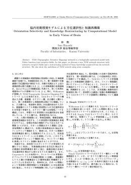 脳内初期視覚モデルによる方位選択性と知識再構築