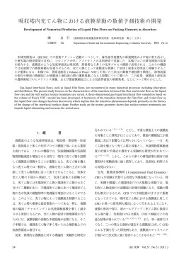 吸収塔内充てん物における液膜挙動の数値予測技術の開発
