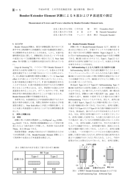 Bender/Extender Element 試験による S 波および P 波速度