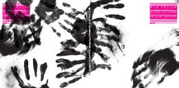 Provocation - ENTOMORODIA | curatorial net/work