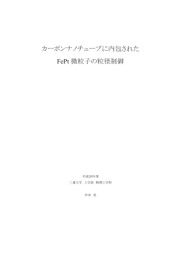 カーボンナノチューブに内包された FePt 微粒子の粒径制御