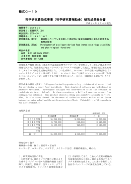 研究成果報告書 - KAKEN - 科学研究費助成事業データベース