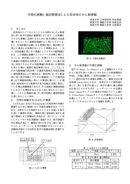 可視化実験と個別要素法による粒状体のせん断挙動