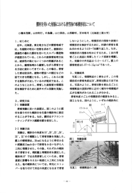 膜材を用いた屋根における滑雪後創帽聞例脚的いて