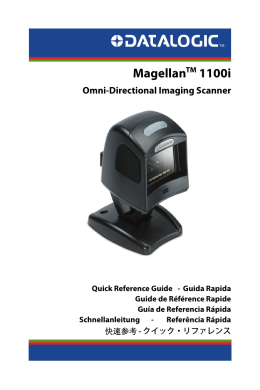 MagellanTM 1100i