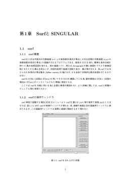 第1章 SurfとSINGULAR