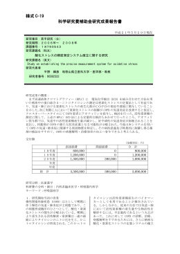 PDF - KAKEN - 科学研究費助成事業データベース