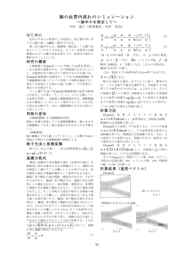 脳の血管内流れのシミュレーション ( ) ( )