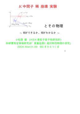 K中間子 稀 崩壊 実験 とその物理