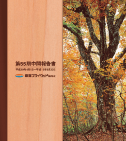 中間事業報告書 - 南海プライウッド