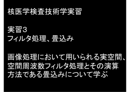 核医学検査技術学実習 実習3 フィルタ処理、畳込み 画像処理において