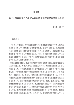 第 6 章 WTO 加盟前後のベトナムにおける銀行業界の発展と展望