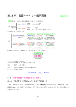 第11章 言語ルール 2  因果関係