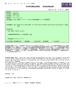 科学研究費助成事業 研究成果報告書 - KAKEN