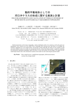 （2011）：動的平衡地形としての河口沖テラスの形成に関する実測と計算