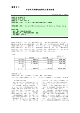 様式 C-19 科学研究費補助金研究成果報告書 - KAKEN