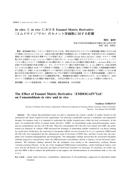 The Effect of Enamel Matrix Derivative（EMDOGAIN