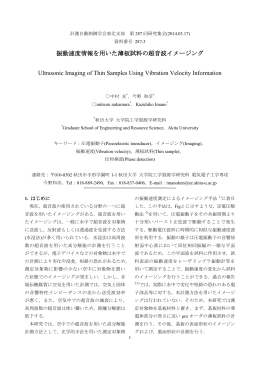 振動速度情報を用いた薄板試料の超音波イメージング