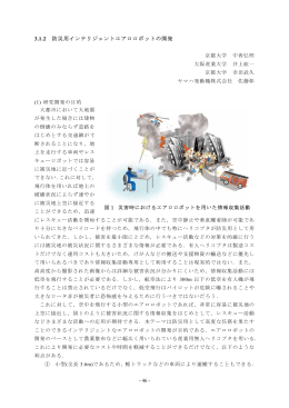 3.1.2 防災用インテリジェントエアロロボットの開発
