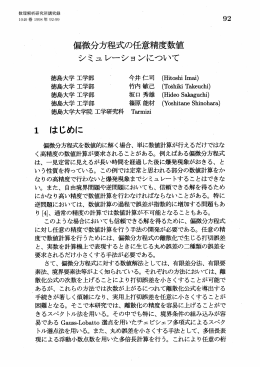 偏微分方程式の任意精度数値シミュレーションについて