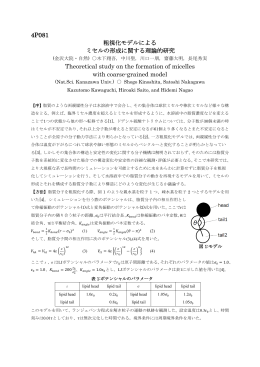 4P081 Theoretical study on the formation of micelles