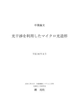 光干渉を利用したマイクロ光造形