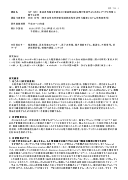 1ZF-1201 終了成果報告書