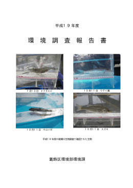 環 境 調 査 報 告 書