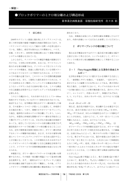 ブロックポリマーのミクロ相分離および構造形成