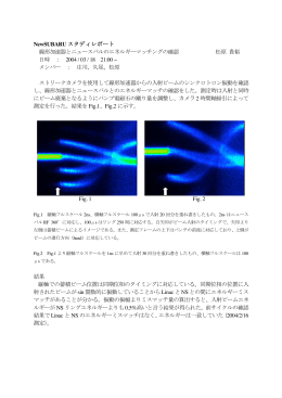 NSSR-04-10